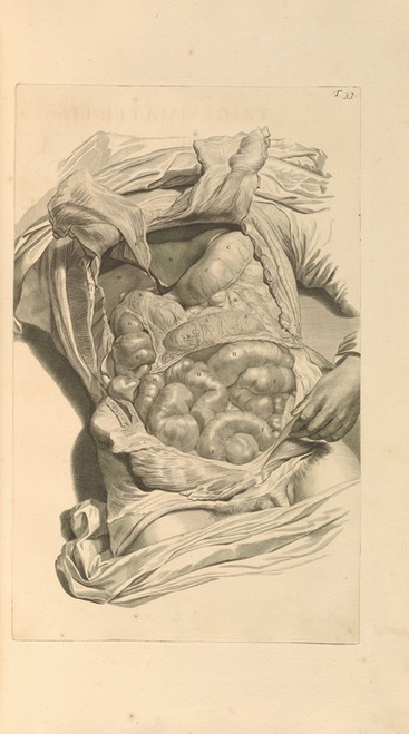 Digital Print - Anatomia humani corporis Pl.034 by Gerard de Lairesse