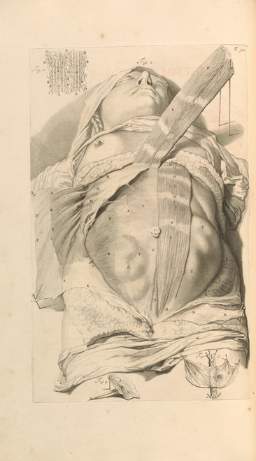 Digital Print - Anatomia humani corporis Pl.033 by Gerard de Lairesse