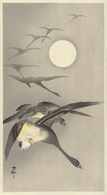 Digital Print - Geese at full moon by Ohara Koson