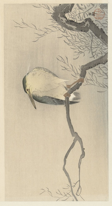 Digital Print - Quack on whimsical branch by Ohara Koson