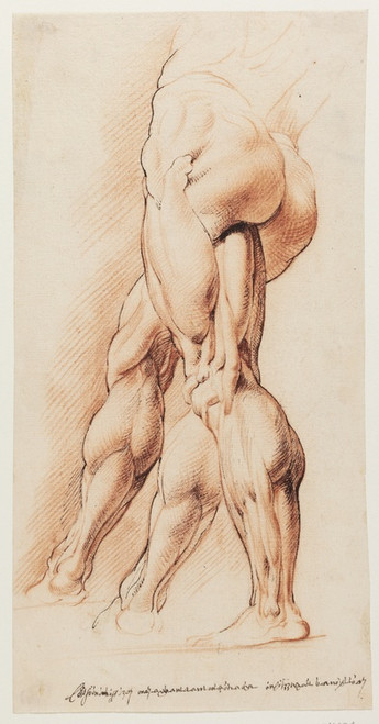Digital Print - Anatomisk studie af en flet mands venstre ben set fra venstre og hans hjre ben i to forskellige positioner corch by Willem Panneels