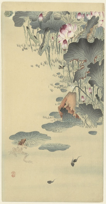 Digital Print - Frog and tadpoles by Ohara Koson