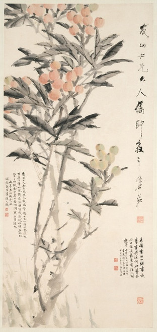 Digital Print - Pipa (Loquats) by Xugu