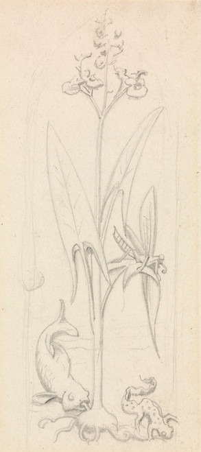 Digital Print - Stained Glass Study, Water Plant with Grasshoper, Fish and Newt by Sir John Everett Millais