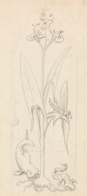 Digital Print - Stained Glass Study, Water Plant with Grasshoper, Fish and Newt by Sir John Everett Millais