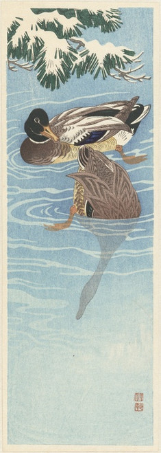 Digital Print - Flock of wild ducks in the water by Ohara Koson