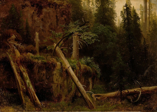 Landscape Study with decaying Trees by August Cappelen: Digital File: JPG