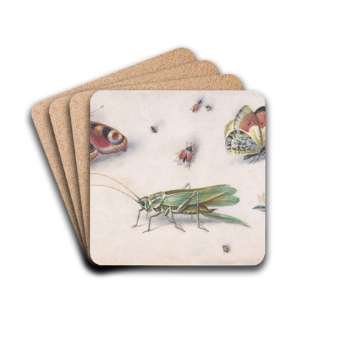 Insects, Butterflies, and a Grasshopper by Jan Van Kessel The Elder Drink Coasters - set of 4 Insects, Butterflies, and a Grasshopper by Jan Van Kessel The Elder Drink Coasters - set of 4