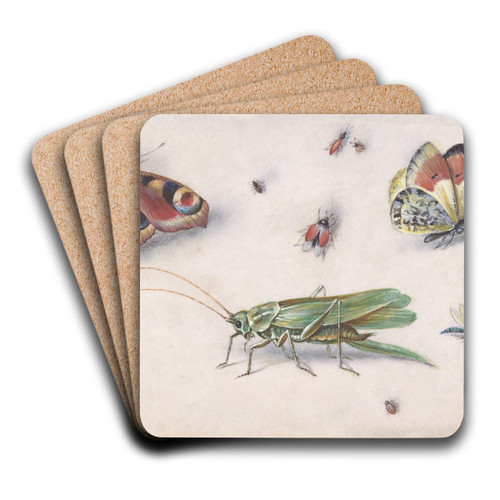 Insects, Butterflies, and a Grasshopper by Jan Van Kessel The Elder Art Drink Coaster set Insects, Butterflies, and a Grasshopper by Jan Van Kessel The Elder Art Drink Coaster set
