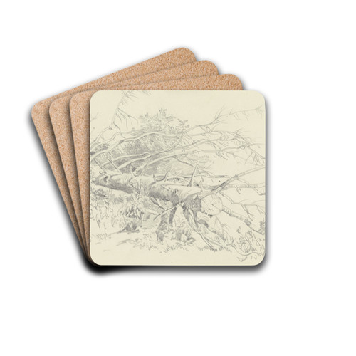 Abgesgter Nadelbaum bei Starnberg by Fritz Bamberger Drink Coasters - set of 4