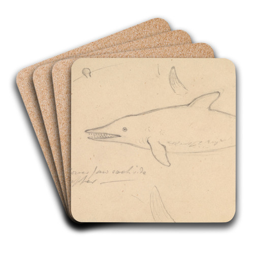 A Porpoise by James Sowerby Art Drink Coaster set A Porpoise by James Sowerby Art Drink Coaster set