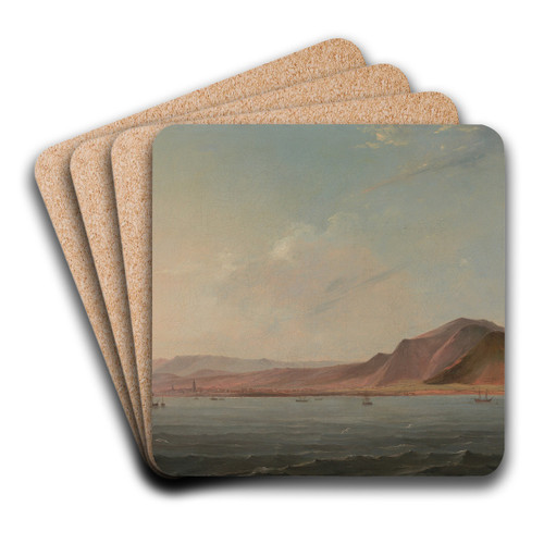 View of Santa Cruz, Tenerife by John Webber Art Drink Coaster set