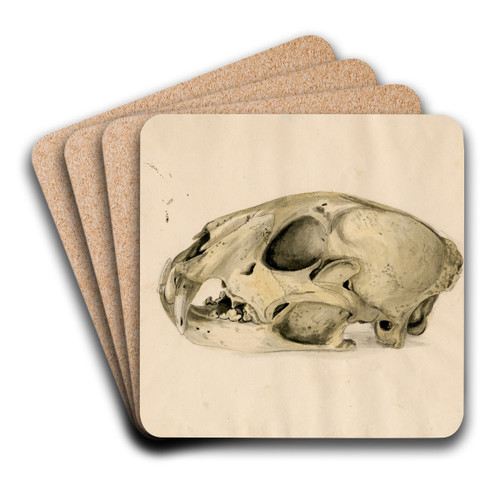 Scull of a panther by Floris Verster Art Drink Coaster set Scull of a panther by Floris Verster Art Drink Coaster set