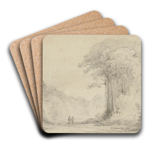 Entrance to Totara Grove, Upper Hutt by William Swainson Art Drink Coaster set