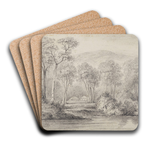 Newry, Mr Molesworth's, River Hutt by William Swainson Art Drink Coaster set