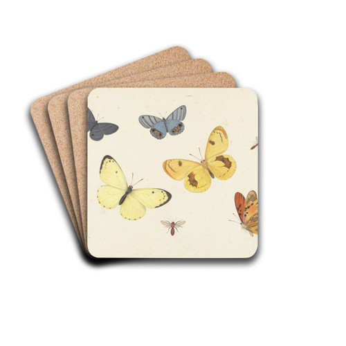 Sheet of Studies with Five Butterflies, a Wasp, and Two Flies by Pieter Withoos Drink Coasters - set of 4