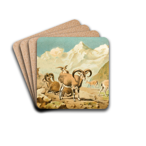 Bharal by Pierre Jacques Smit Drink Coasters - set of 4 Bharal by Pierre Jacques Smit Drink Coasters - set of 4
