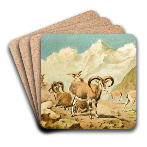 Bharal by Pierre Jacques Smit Art Drink Coaster set Bharal by Pierre Jacques Smit Art Drink Coaster set