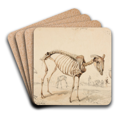 Le gras pturage by Jacques-Raymond Brascassat Art Drink Coaster set