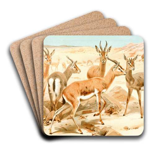 Dorcas Gazelle by Wilhelm Kuhnert Art Drink Coaster set Dorcas Gazelle by Wilhelm Kuhnert Art Drink Coaster set