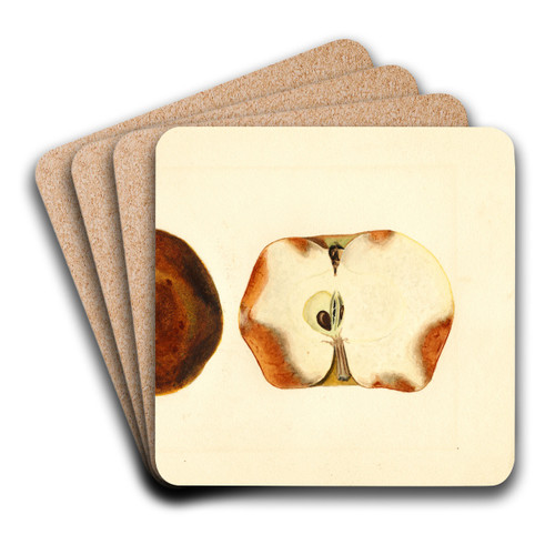 Malus domestica by James Marion Shull Art Drink Coaster set