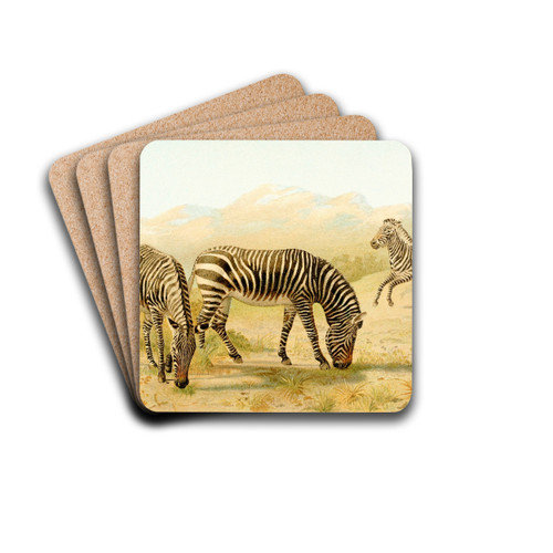 Zebra by Pierre Jacques Smit Drink Coasters - set of 4 Zebra by Pierre Jacques Smit Drink Coasters - set of 4