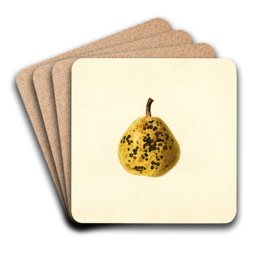 Pyrus communis by James Marion Shull Art Drink Coaster set