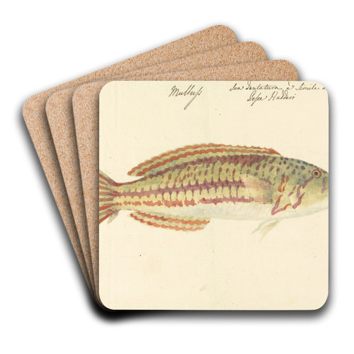 Mullup by Luigi Balugani Art Drink Coaster set