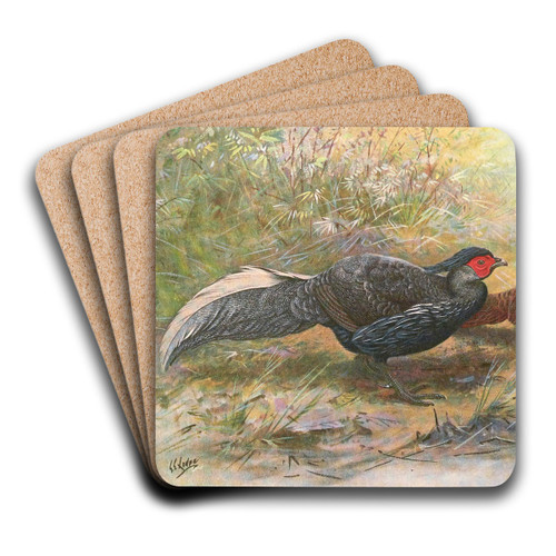 Oates's Hybrid Kaleege by George Edward Lodge Art Drink Coaster set Oates's Hybrid Kaleege by George Edward Lodge Art Drink Coaster set