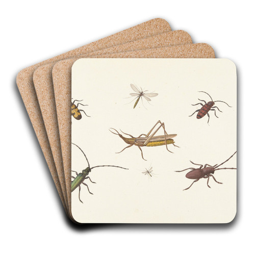 A Sheet with Seven Different Insects by Pieter Withoos Art Drink Coaster set