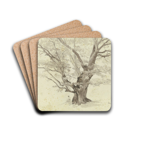 Oak tree near Weling by Philipp Rth Drink Coasters - set of 4