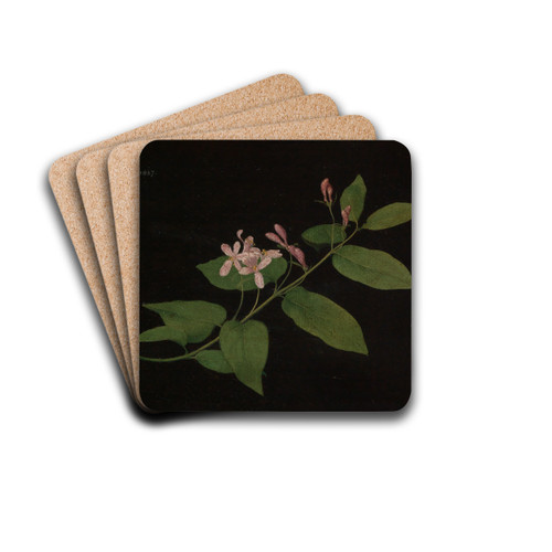 Bltenzweig der Heckenkirsche by Georg Philipp Schmitt Drink Coasters - set of 4