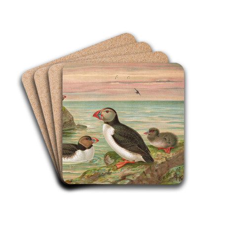 Fratercula arctica (L.), Arktischer Lund by Johann Friedrich Naumann Drink Coasters - set of 4 Fratercula arctica (L.), Arktischer Lund by Johann Friedrich Naumann Drink Coasters - set of 4