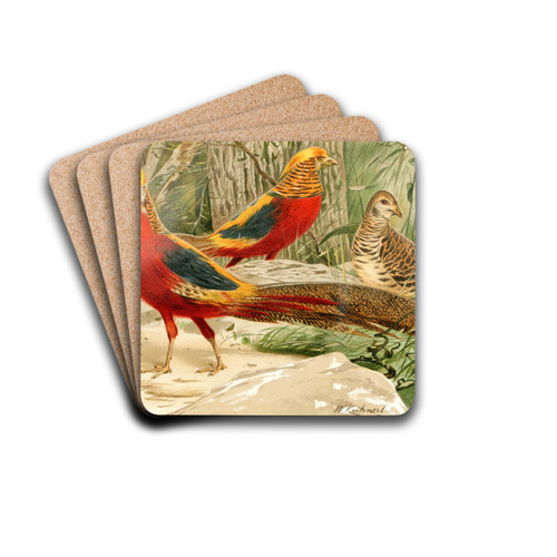 Golden Pheasants by Wilhelm Kuhnert Drink Coasters - set of 4 Golden Pheasants by Wilhelm Kuhnert Drink Coasters - set of 4