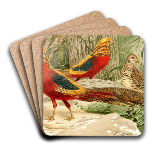 Golden Pheasants by Wilhelm Kuhnert Art Drink Coaster set Golden Pheasants by Wilhelm Kuhnert Art Drink Coaster set