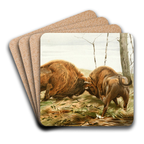 The European Bison by Wilhelm Kuhnert Art Drink Coaster set The European Bison by Wilhelm Kuhnert Art Drink Coaster set