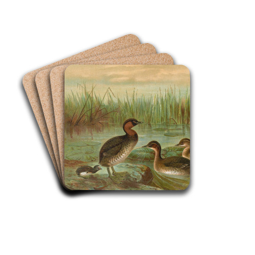Colymbus fluviatilis Tunst., Kleiner Lappentaucher by Johann Friedrich Naumann Drink Coasters - set of 4 Colymbus fluviatilis Tunst., Kleiner Lappentaucher by Johann Friedrich Naumann Drink Coasters - set of 4