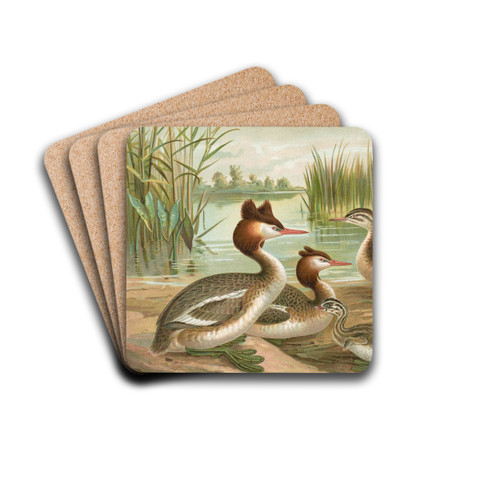 Colymbus cristatus, Grosser Lappentaucher by Johann Friedrich Naumann Drink Coasters - set of 4 Colymbus cristatus, Grosser Lappentaucher by Johann Friedrich Naumann Drink Coasters - set of 4