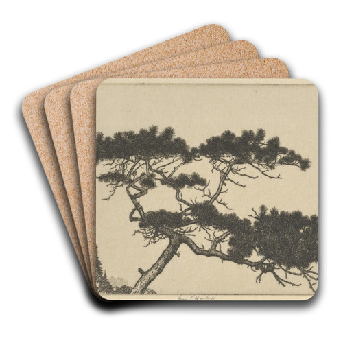Crippled Pine by Ernest Haskell Art Drink Coaster set