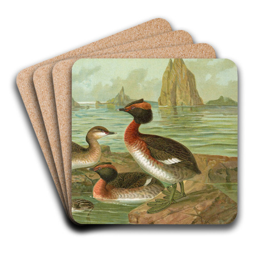 Colymbus auritus L., Gehornter Lappentaucher by Johann Friedrich Naumann Art Drink Coaster set Colymbus auritus L., Gehornter Lappentaucher by Johann Friedrich Naumann Art Drink Coaster set