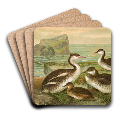 Colymbus cristatus, Grosser Lappentaucher. by Johann Friedrich Naumann Art Drink Coaster set Colymbus cristatus, Grosser Lappentaucher. by Johann Friedrich Naumann Art Drink Coaster set