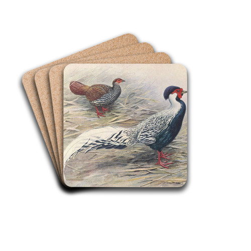 Hainan Silver Kaleege by George Edward Lodge Drink Coasters - set of 4 Hainan Silver Kaleege by George Edward Lodge Drink Coasters - set of 4