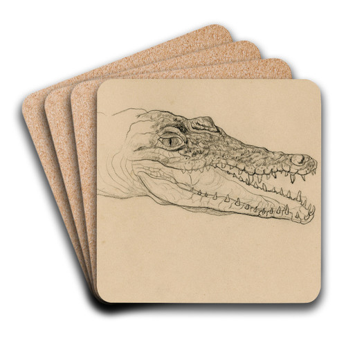 Kop van een krokodil by Theo van Hoytema Art Drink Coaster set