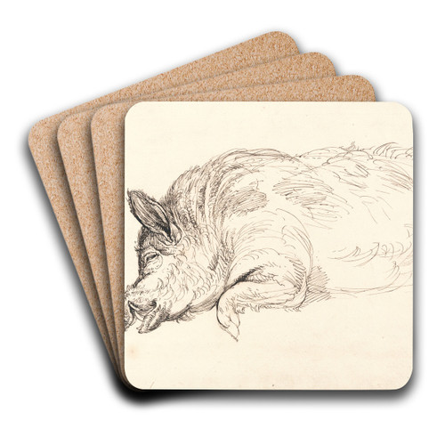Wild Boar by James Ward Art Drink Coaster set