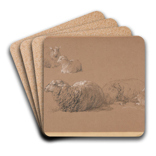 tudes de moutons couchs by Jacques-Raymond Brascassat Art Drink Coaster set