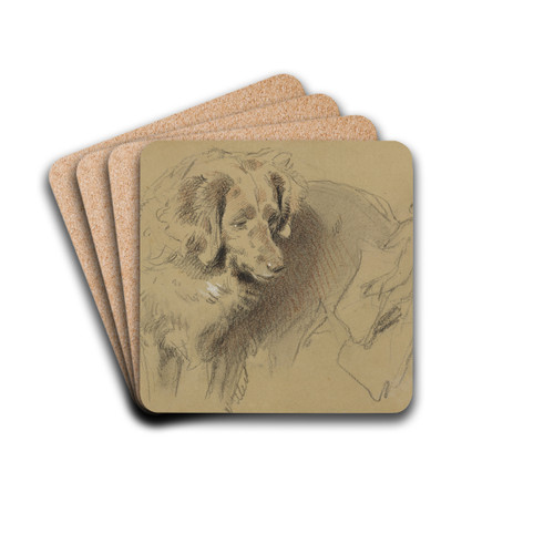 Study of a Dog by Sir Edwin Henry Landseer Drink Coasters - set of 4