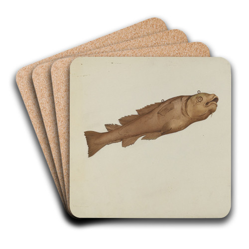 Fish Shop Sign by Joseph Goldberg Art Drink Coaster set
