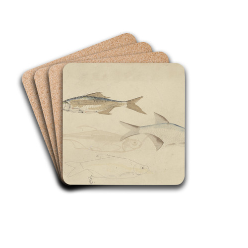 Vier barbelen by Carel Adolph Lion Cachet Drink Coasters - set of 4