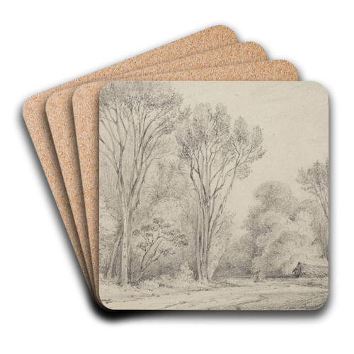 Manuka Grove on Taines Section, Upper Hutt by William Swainson Art Drink Coaster set