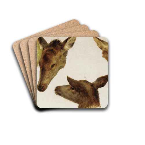Study Of Deer Heads by Rosa Bonheur Drink Coasters - set of 4